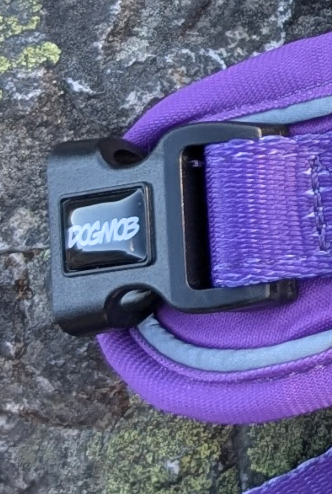 DOGMOB OG Harness - Purple