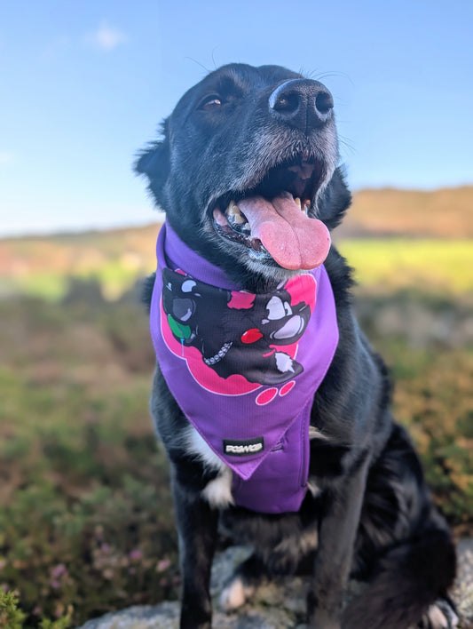 DOGMOB OG Bandana - Purple