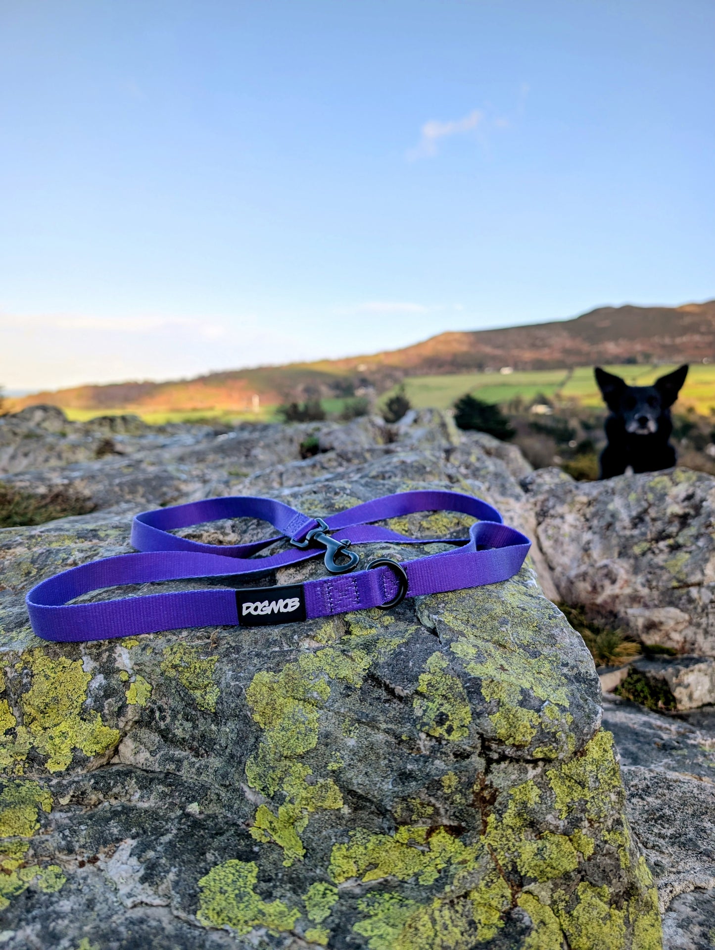 DOGMOB OG Lead - Purple