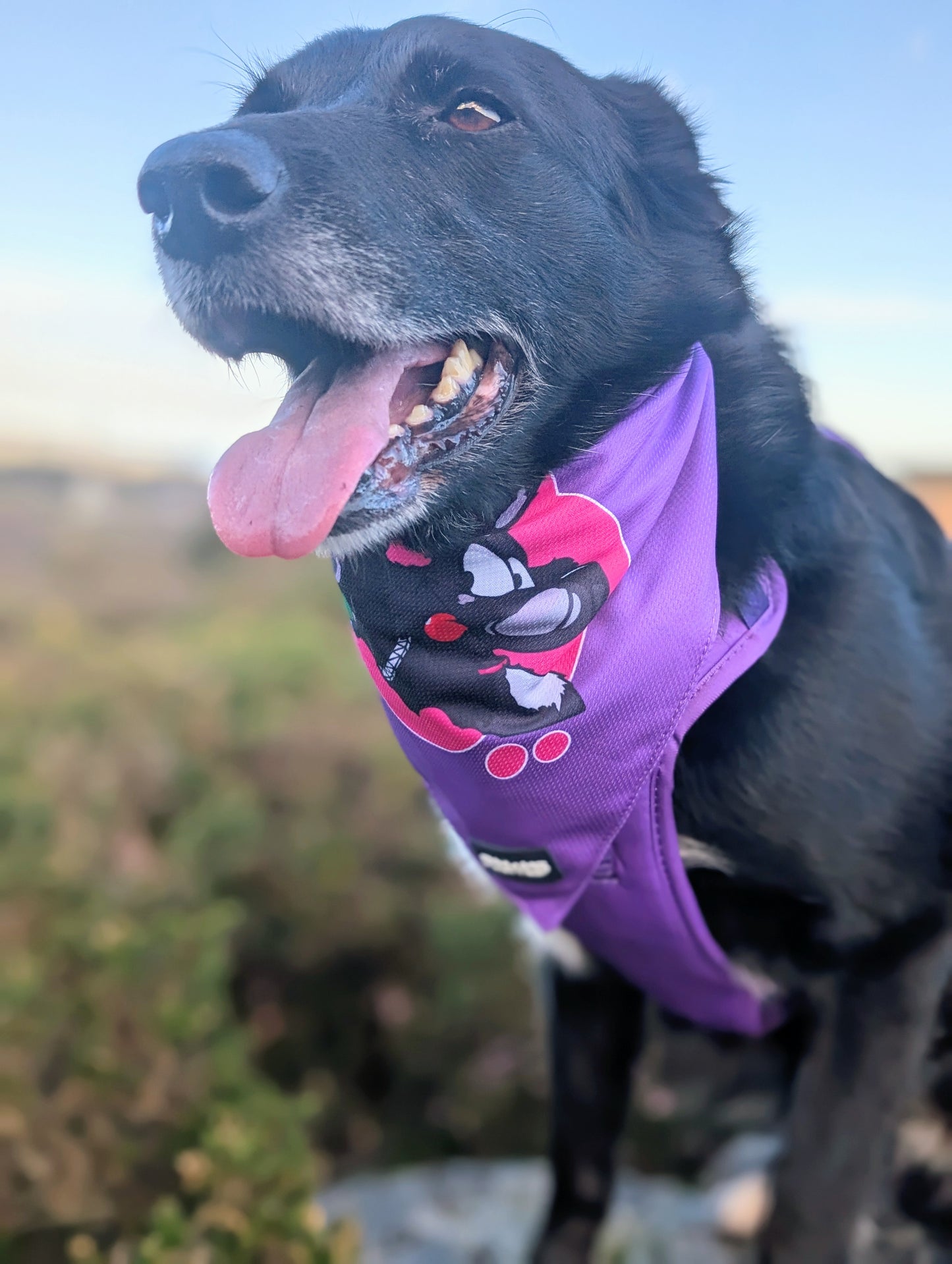 DOGMOB OG Bandana - Purple