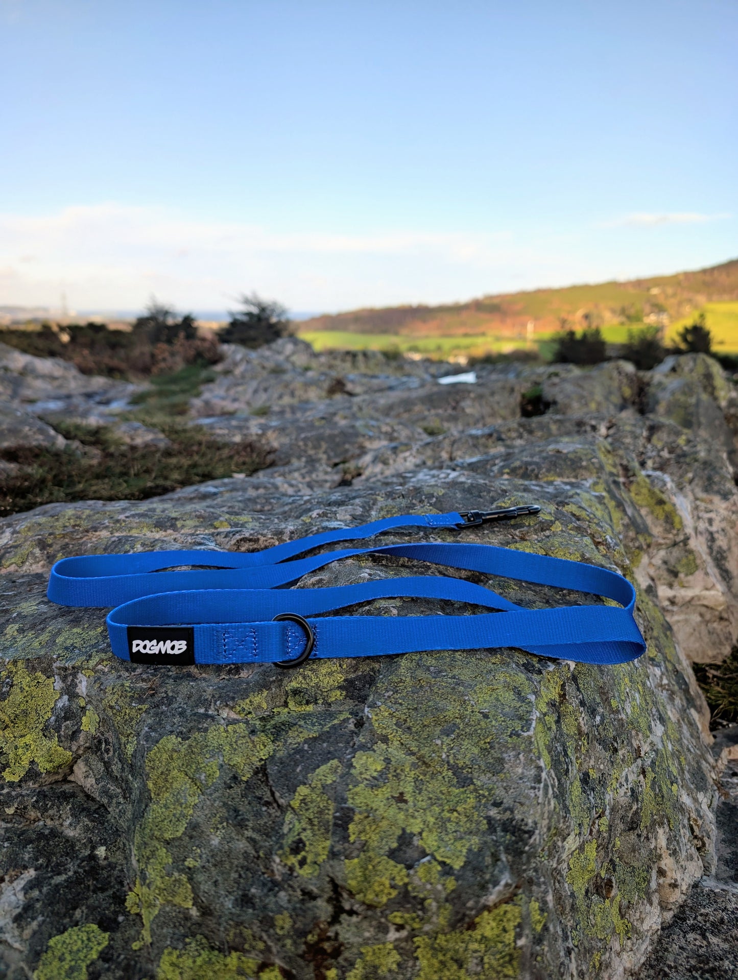 DOGMOB OG Lead - Blue