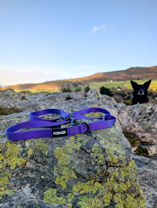 DOGMOB OG Lead - Purple