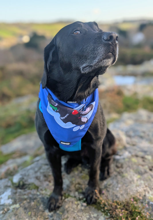 DOGMOB OG Bandana - Blue