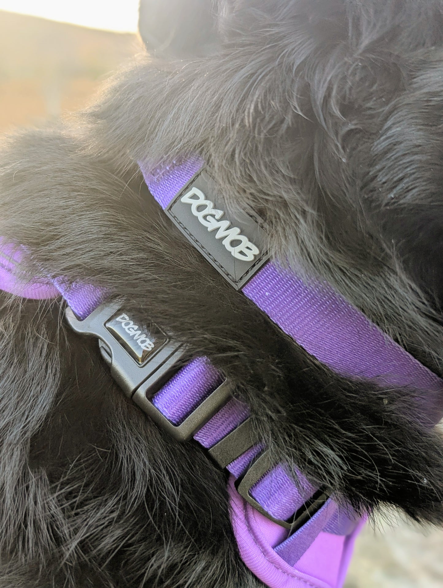 DOGMOB OG Bundle - Purple