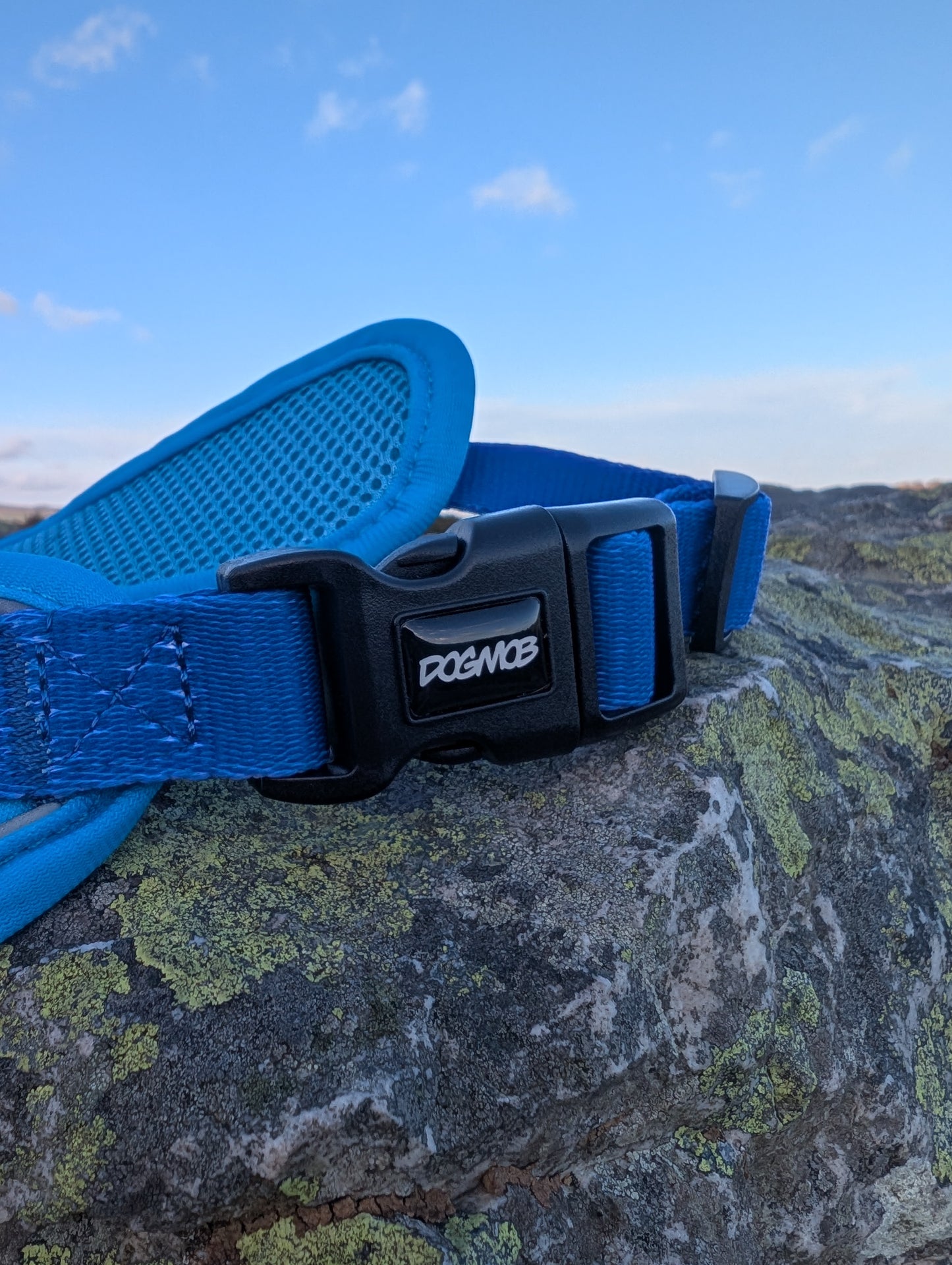 DOGMOB OG Harness - Blue