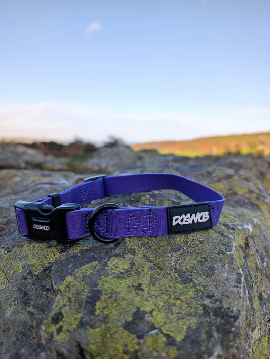 DOGMOB OG Collar - Purple